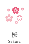 桜 sakura